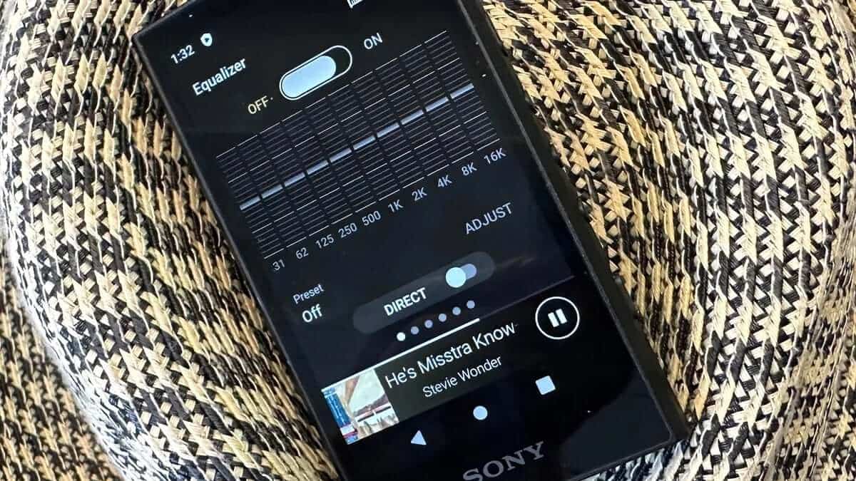 Sony NW-A306 MP3 Player