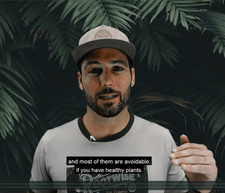 How to keep a clean garden - Pest Free - Organic IPM