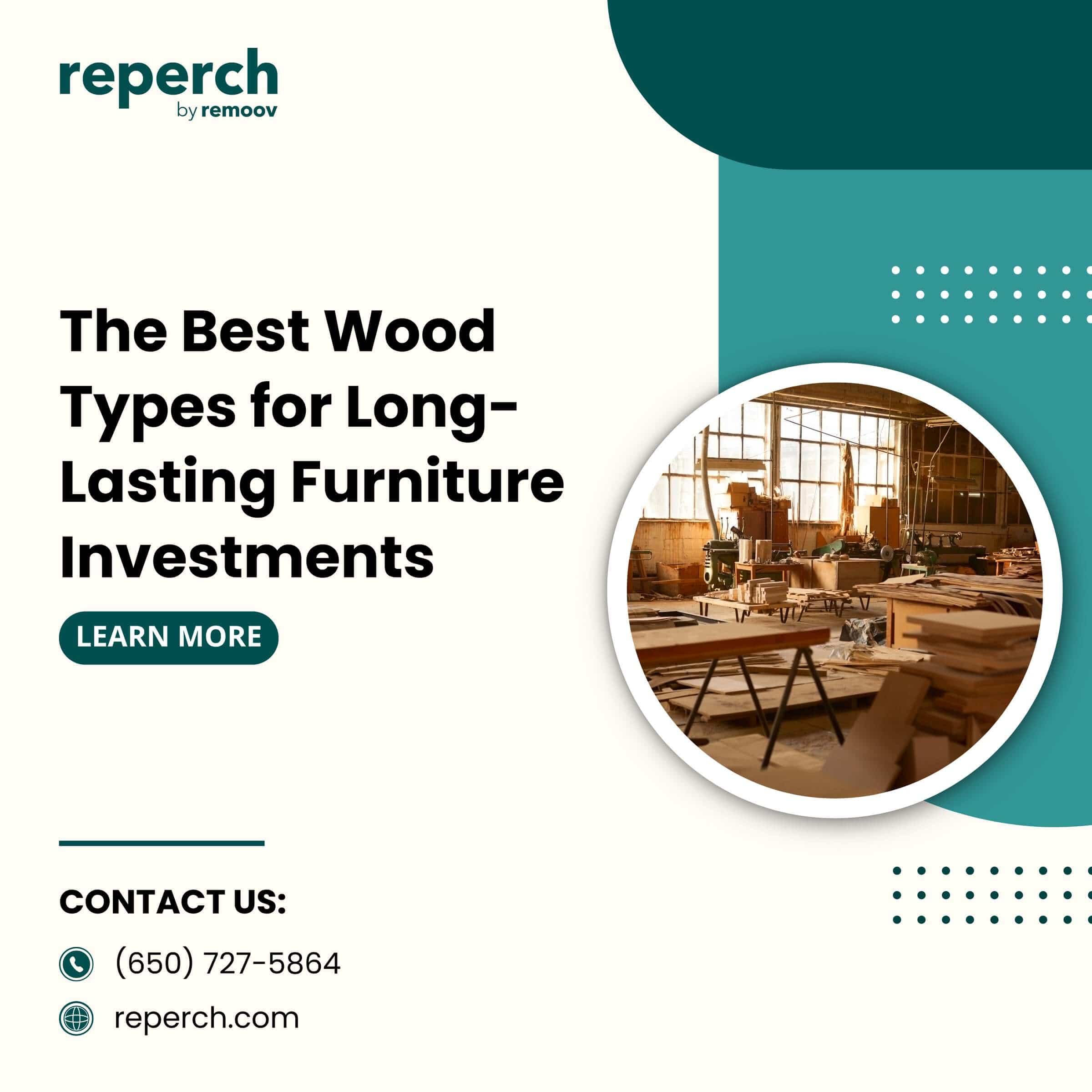 The Best Wood Types for Long-Lasting Furniture Investments