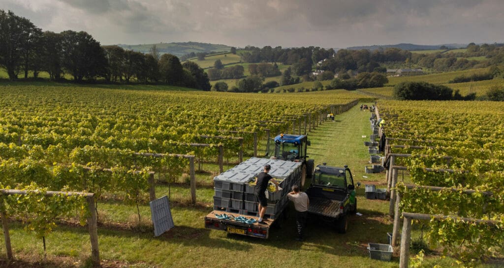 Sweeping vineyard hills along the River Dart in Devon
