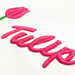 How to Digitize for 3D Puffy Foam Machine Embroidery
