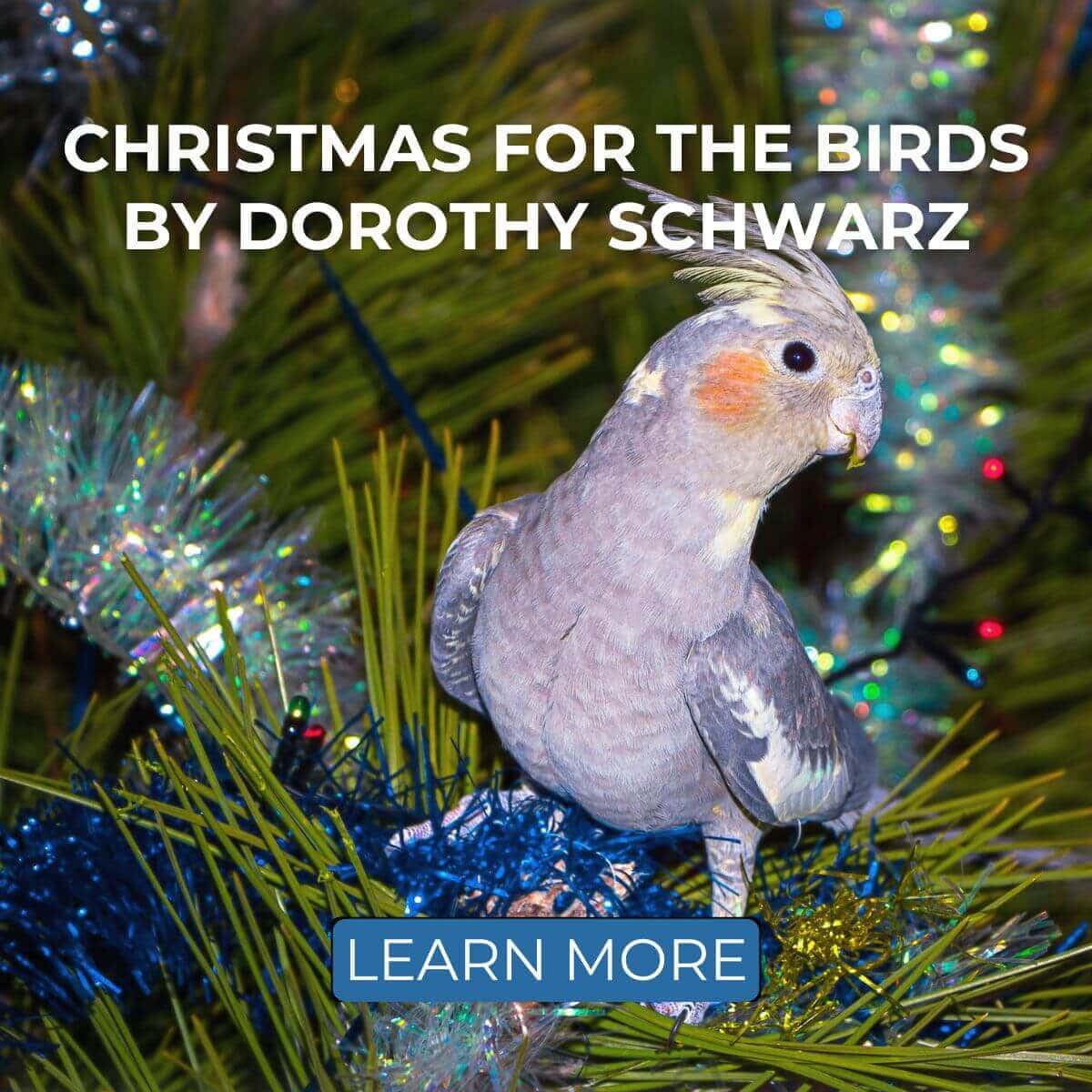 Christmas for the Birds by Dorothy Schwarz - Parrot Anecdotes