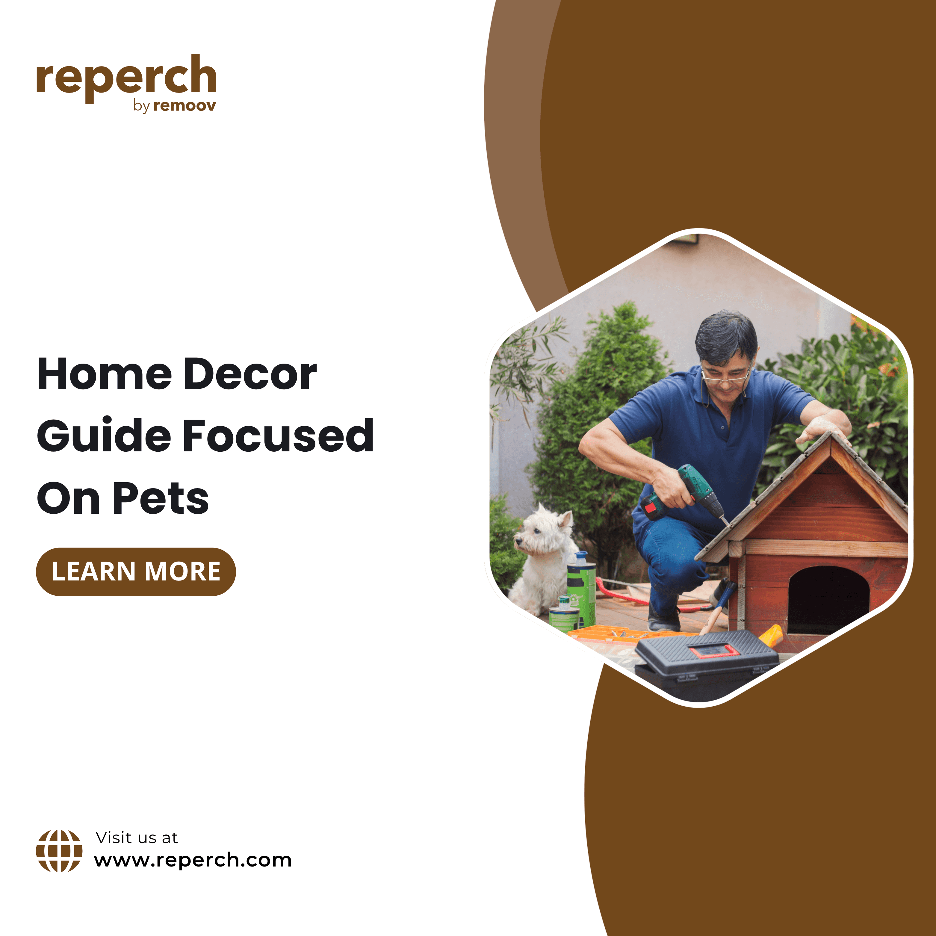 Home Decor Guide Focused On Pets