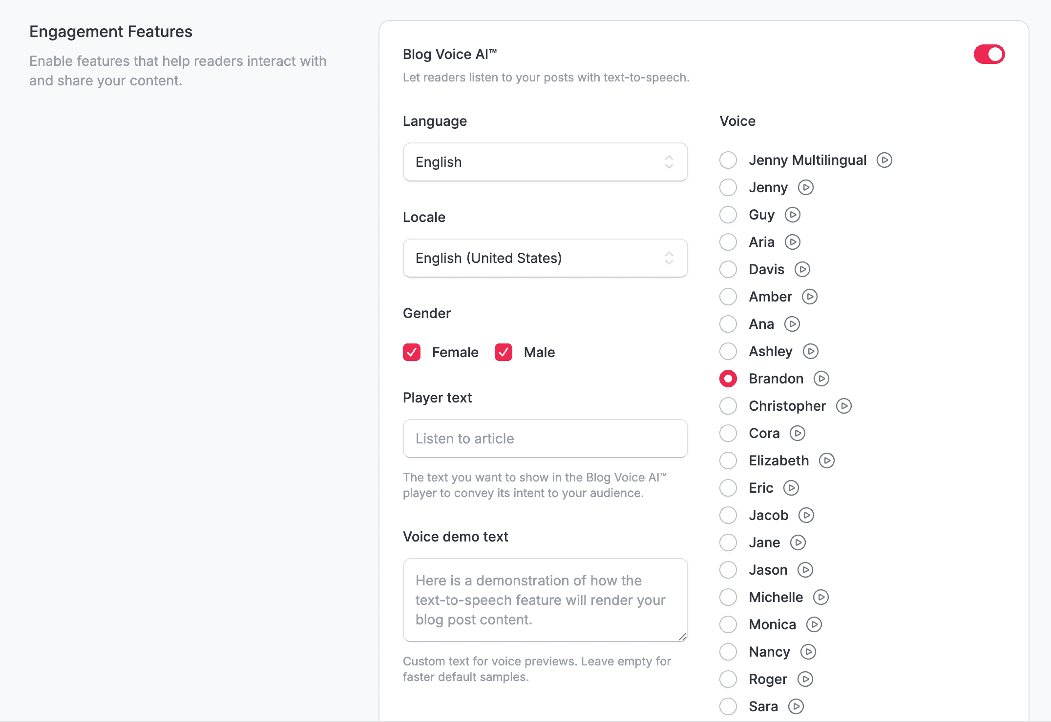 Blog Voice AI™ settings