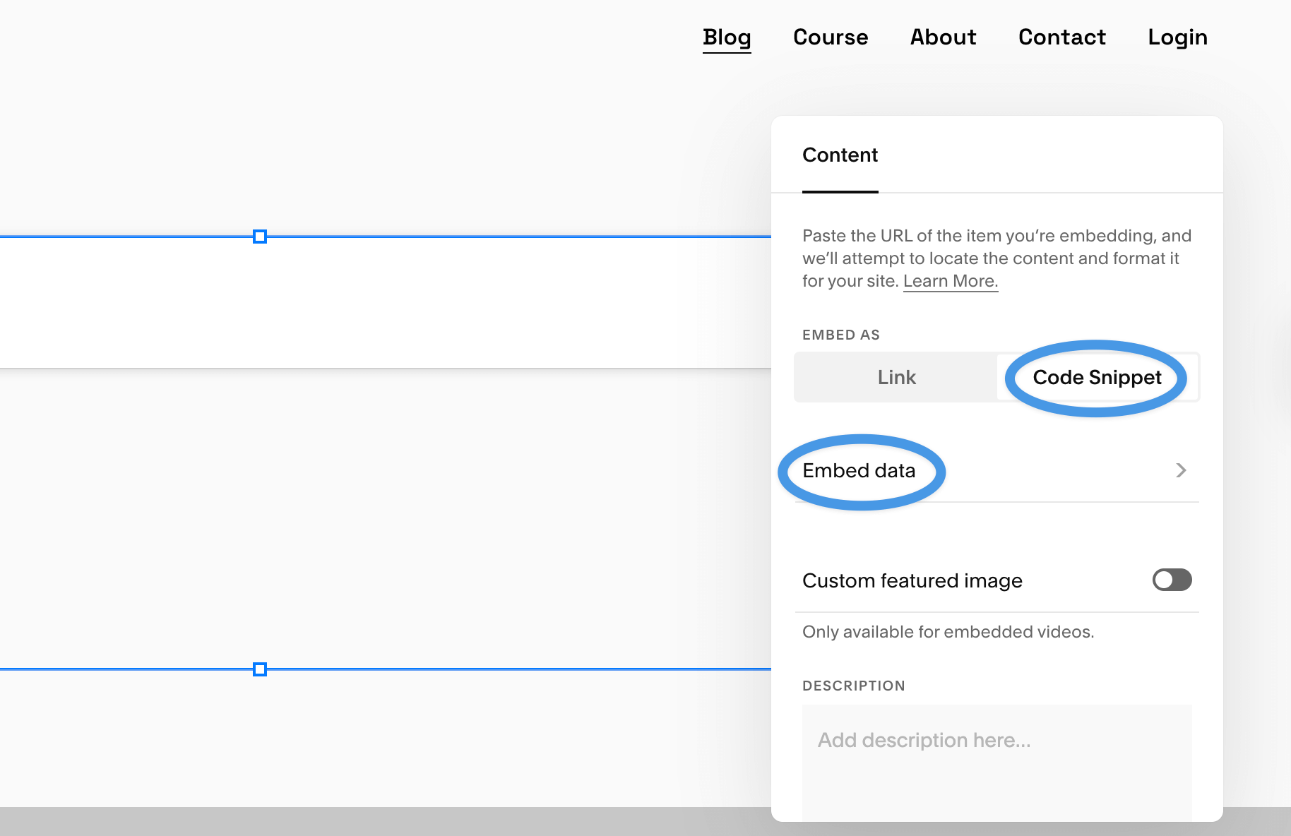 Squarespace Embed blocl: Embed data option