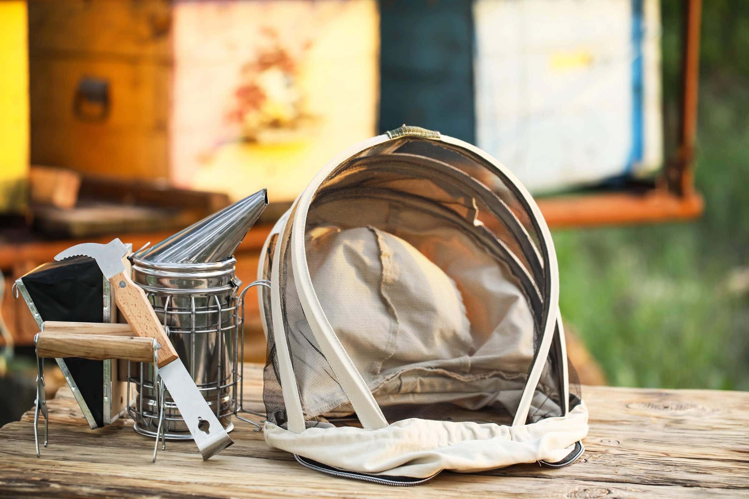 Beekeeping Supplies Needed To Start Your Hive!