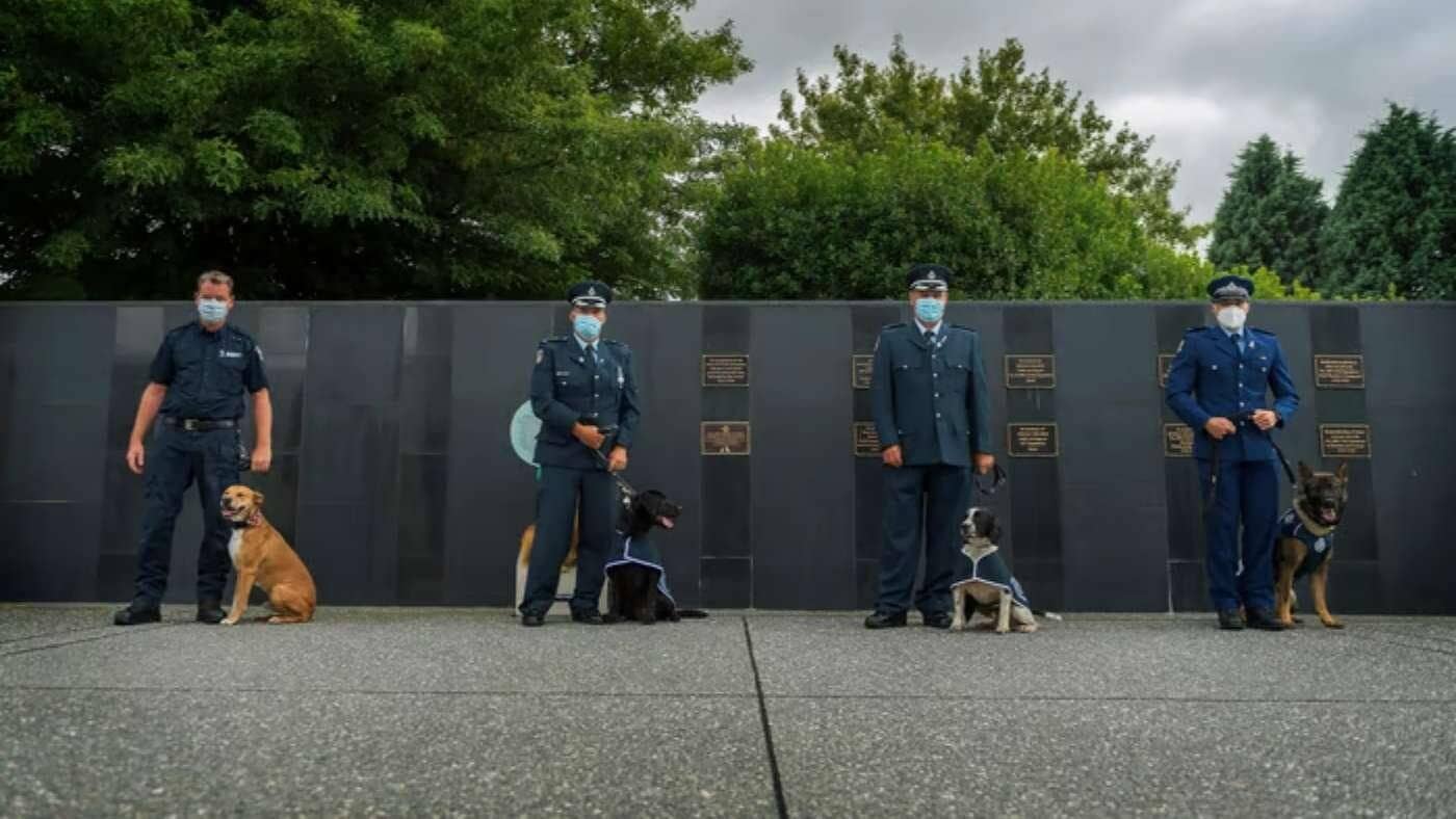 National Day for War Animals