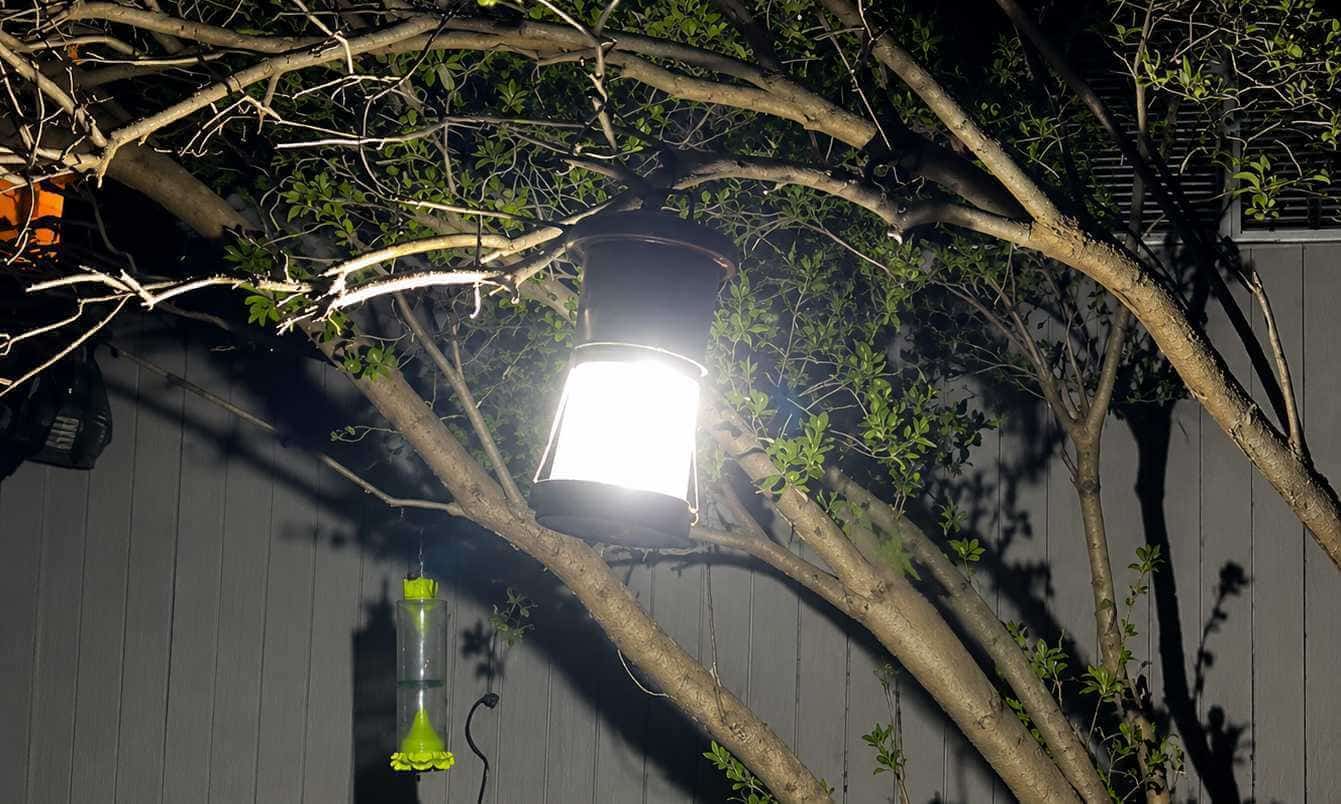Portable Lights for Labor Day: Work to Weekend | HOKOLITE