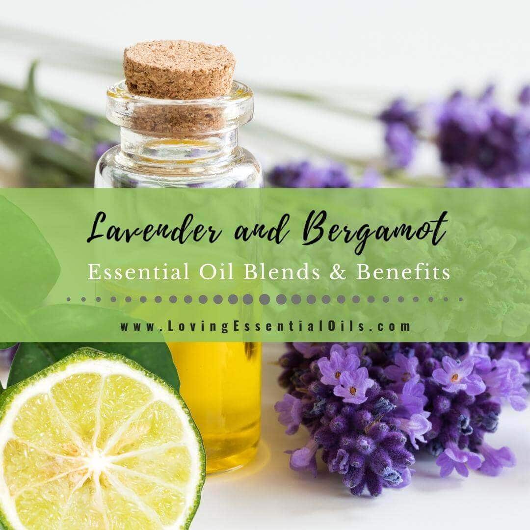 Lavender and Bergamot Benefits Essential Oil Blend Recipes