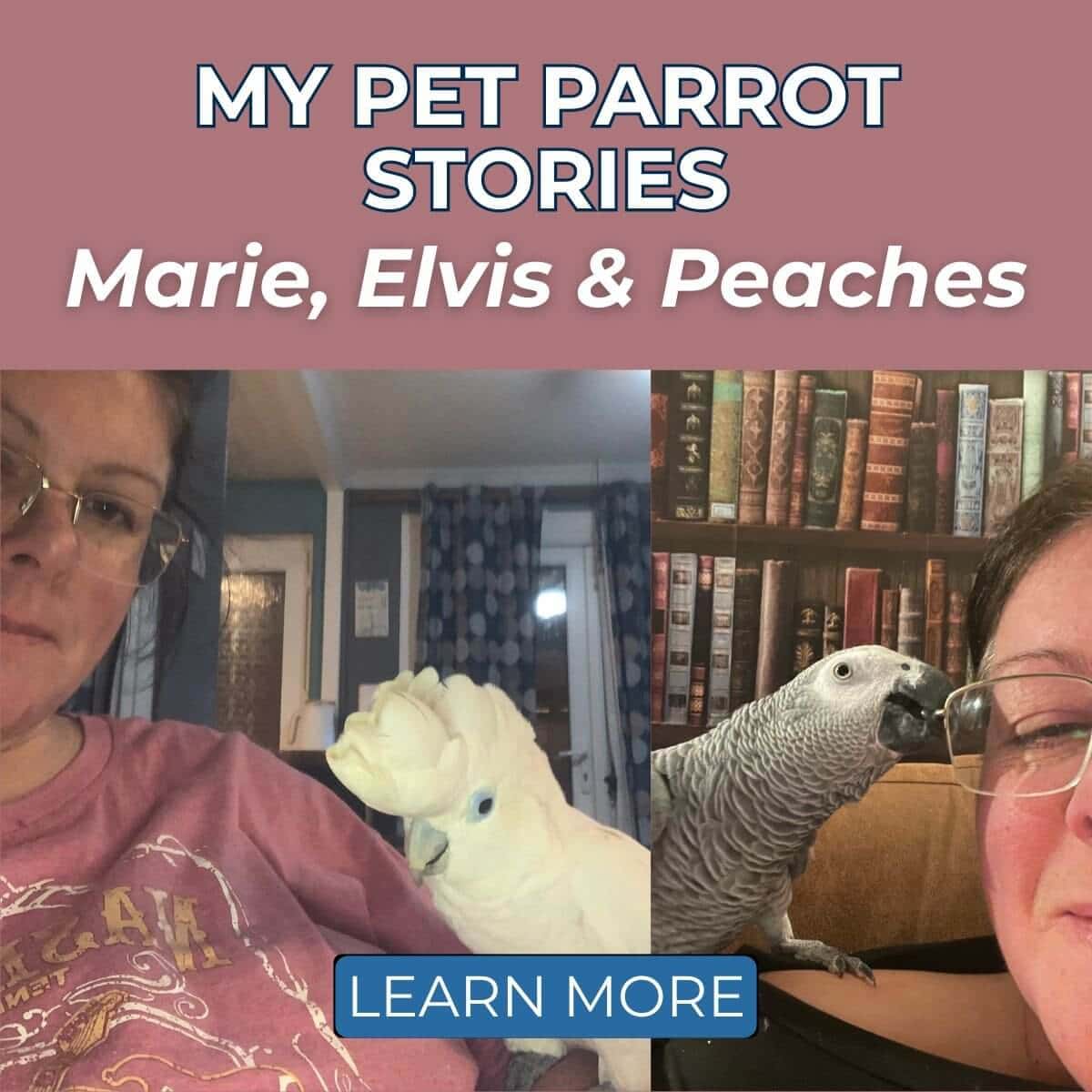 My Pet Parrot Stories: Marie, Elvis & Peaches