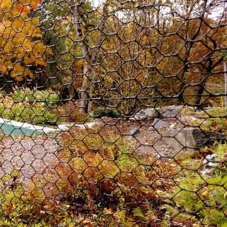 Steel Hex Fall Foliage