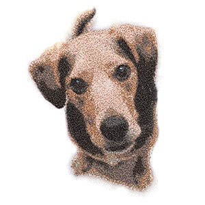 Create Memorable Embroidered gifts with PhotoStitch and PhotoFlash