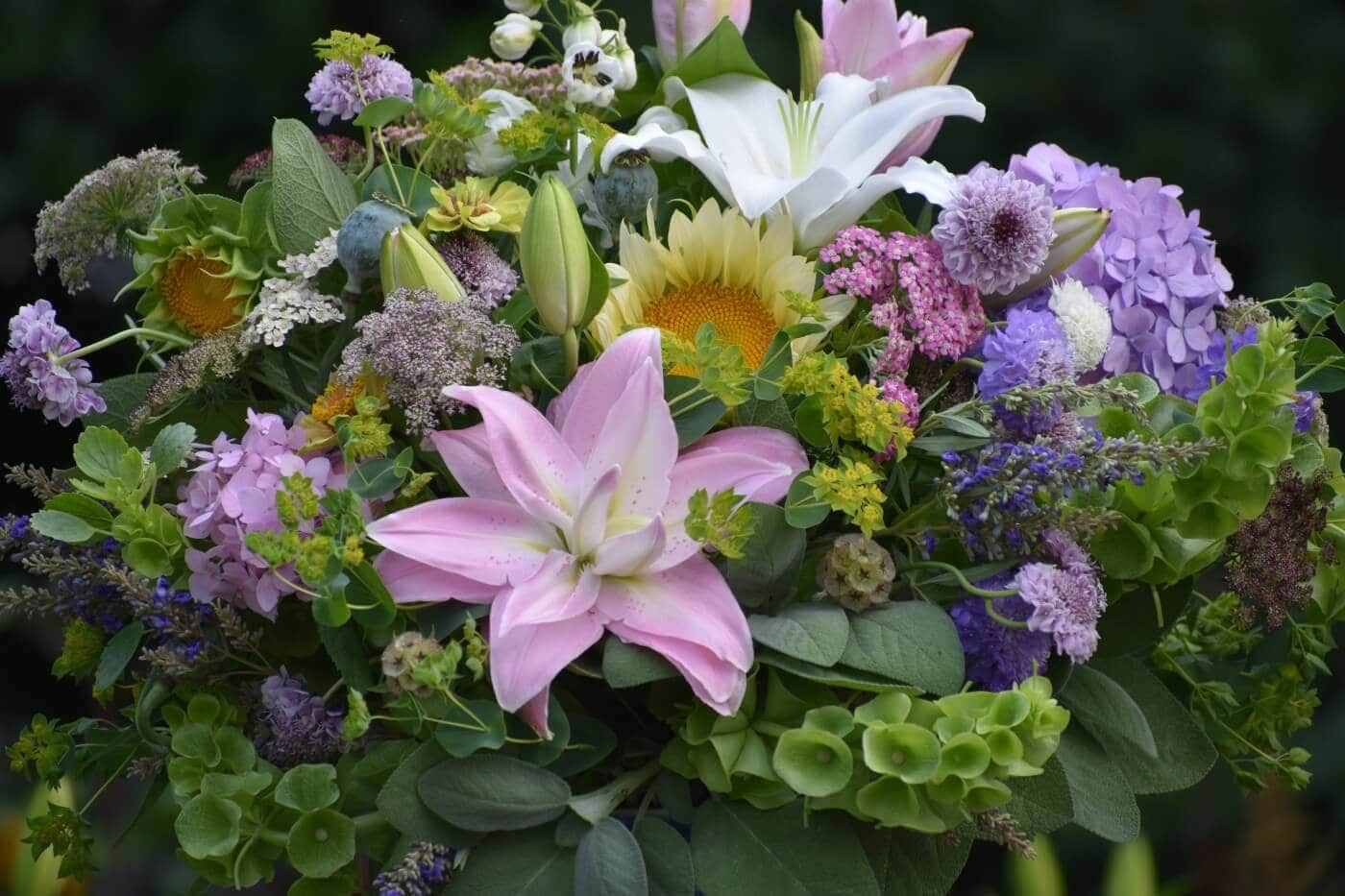 Tips for Using Lilies as Cut Flowers Longfield Gardens