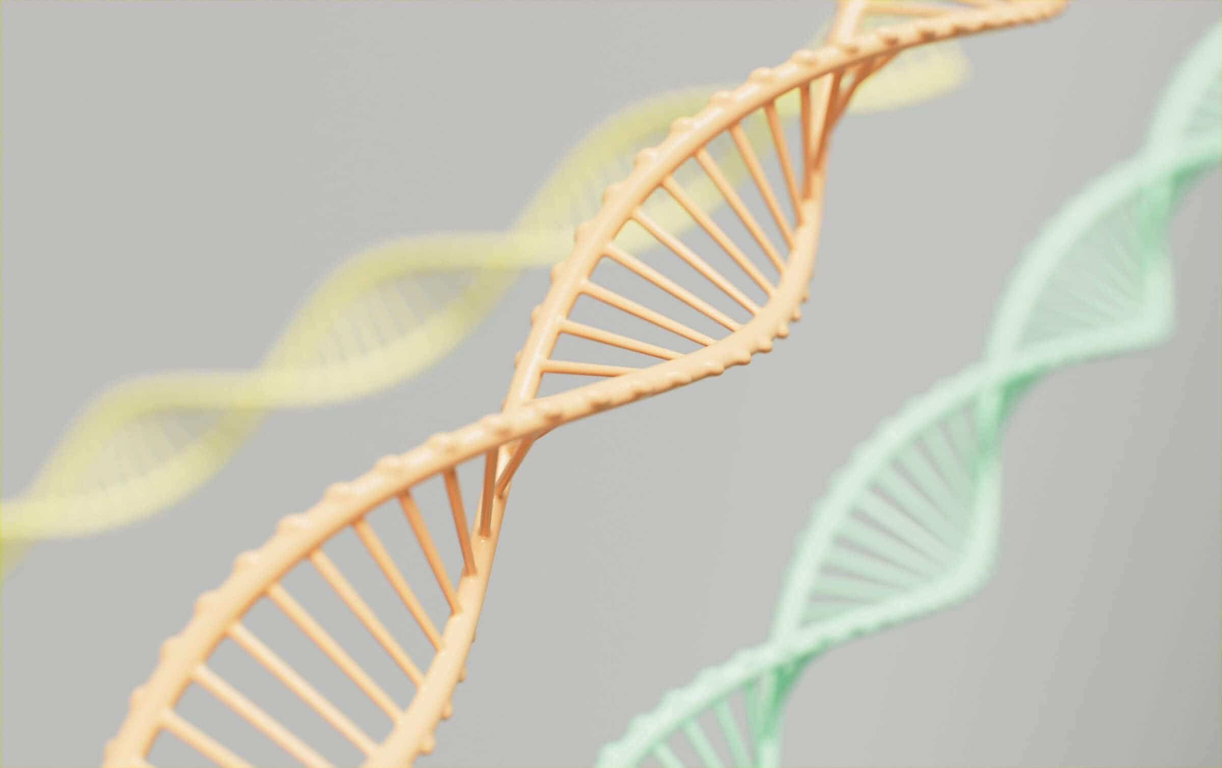 spermegt-dna-methylation-test