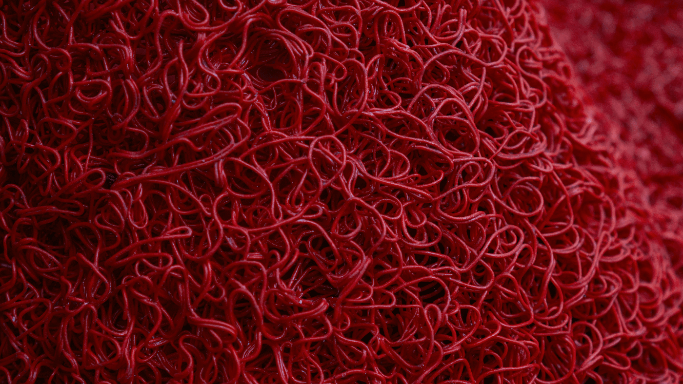 The Truth About Cholesterol