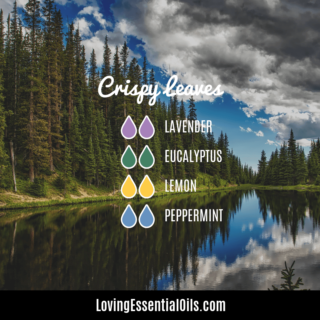 Crispy Leaves lemon and lavender diffuser blend with eucalyptus and peppermint