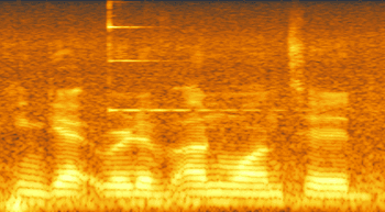 izotope-rx4-61.png