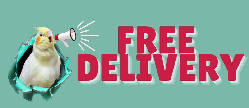 Parrot Essentials Free Delivery 20 - 22 Jun 2025