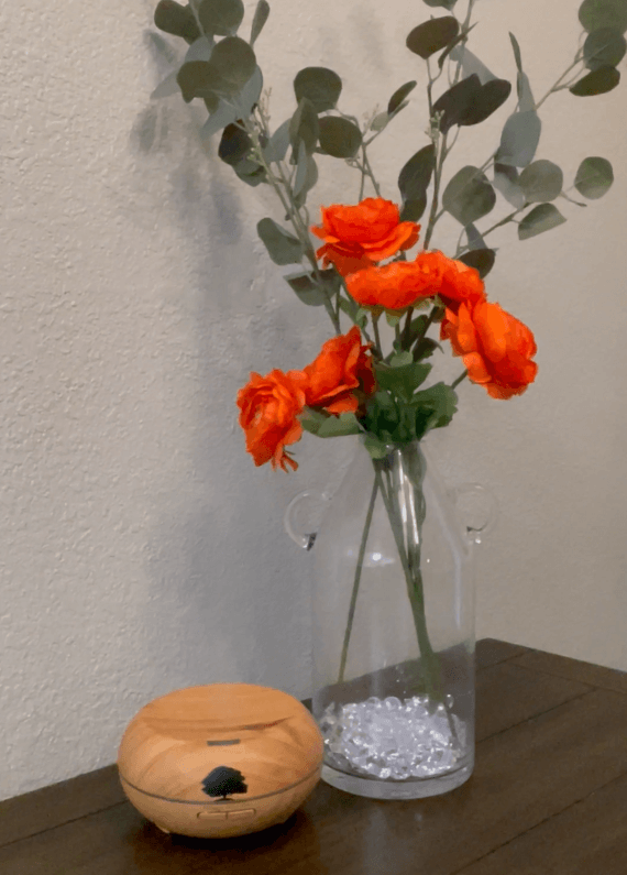 Cleaning an ultrasonic essential oil diffuser with a soft cloth