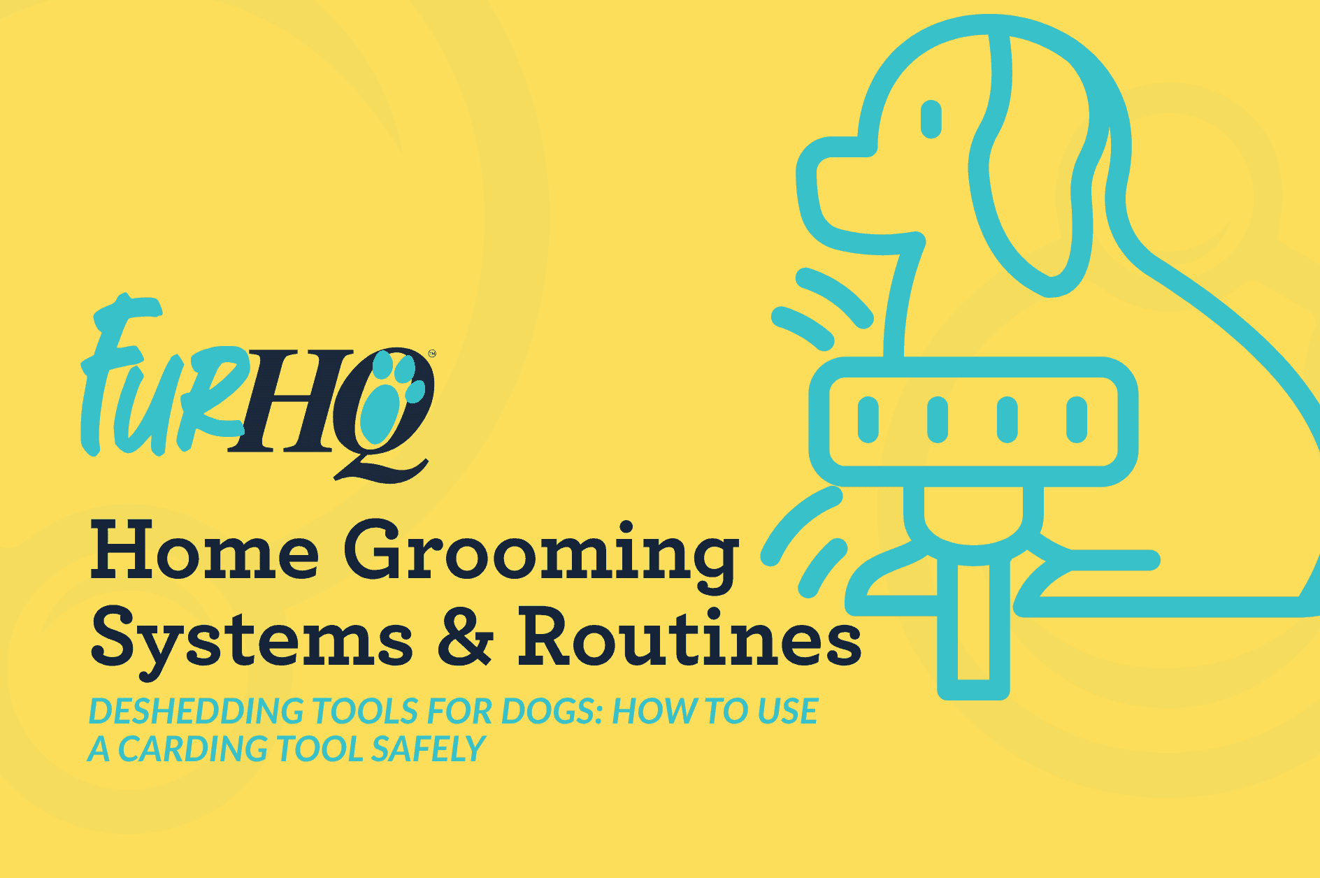 Deshedding Tools for Dogs: How to Use a Carding Tool Safely