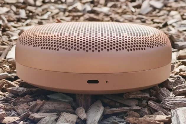 B&O Beosound A1 3rd Gen