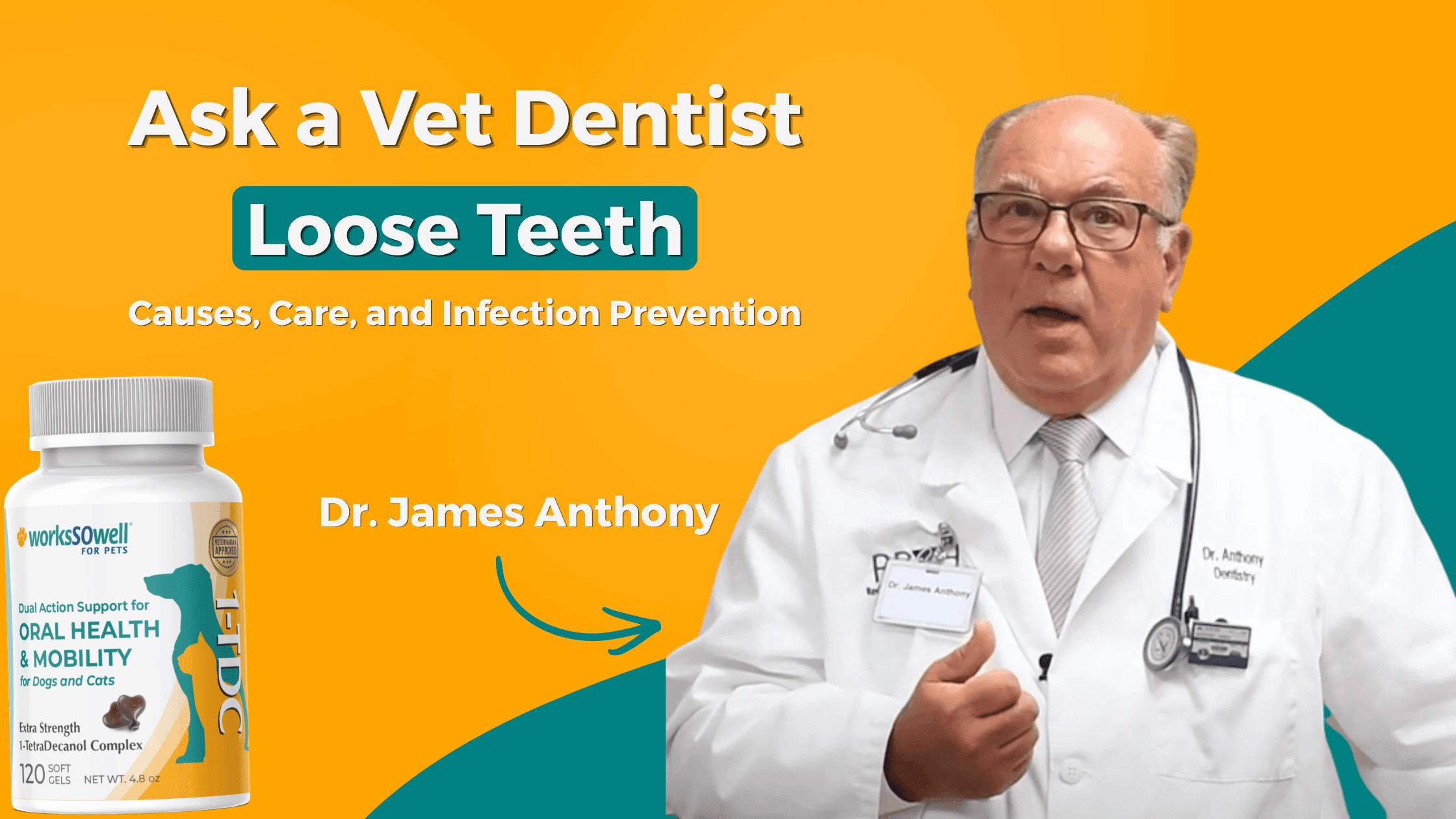 Ask a Vet Dentist: Loose Teeth, Explained - Causes, Care, and Infection Prevention
