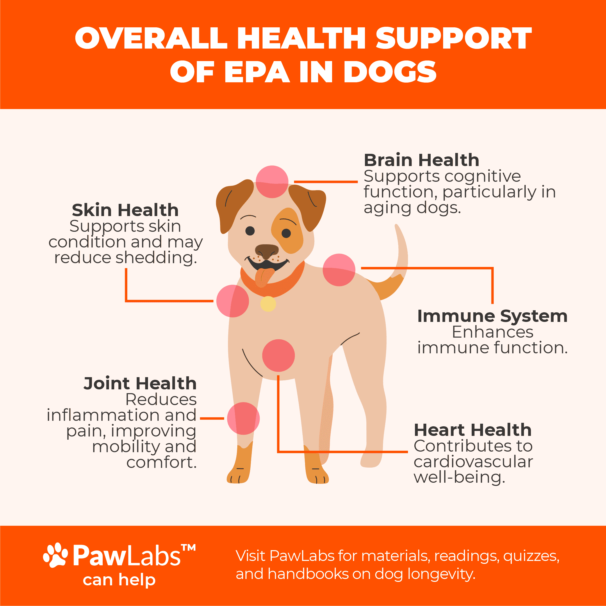 overall health of EPA