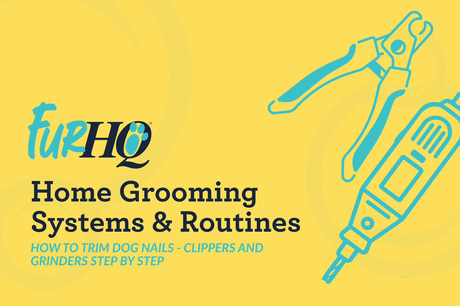How to Trim Dog Nails - Clippers and Grinders Step by Step
