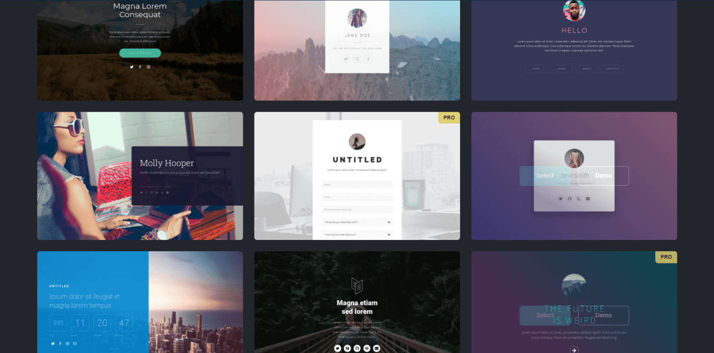 Carrd templates: Carrd review
