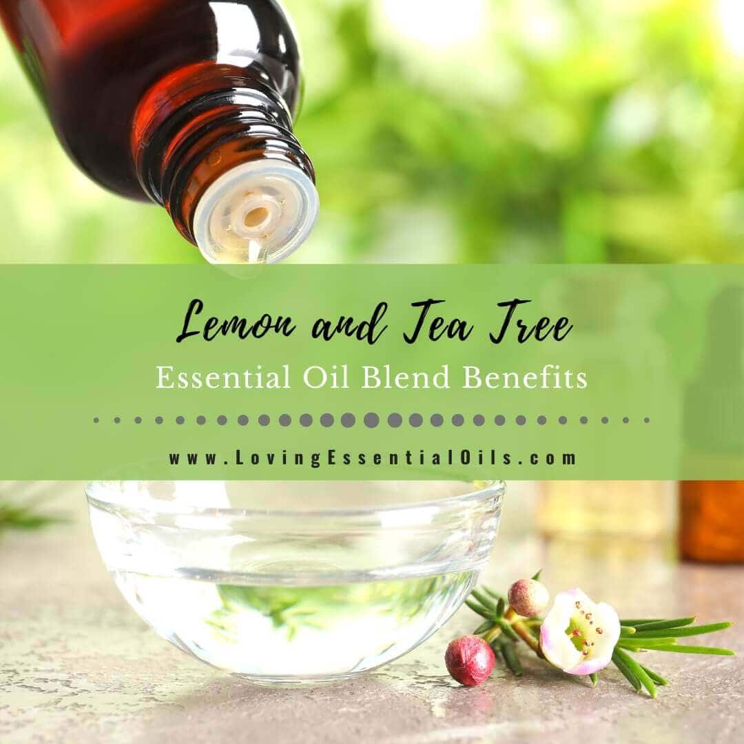 Lemon and Tea Tree Essential Oil Blend: Uses + 6 Easy Recipes