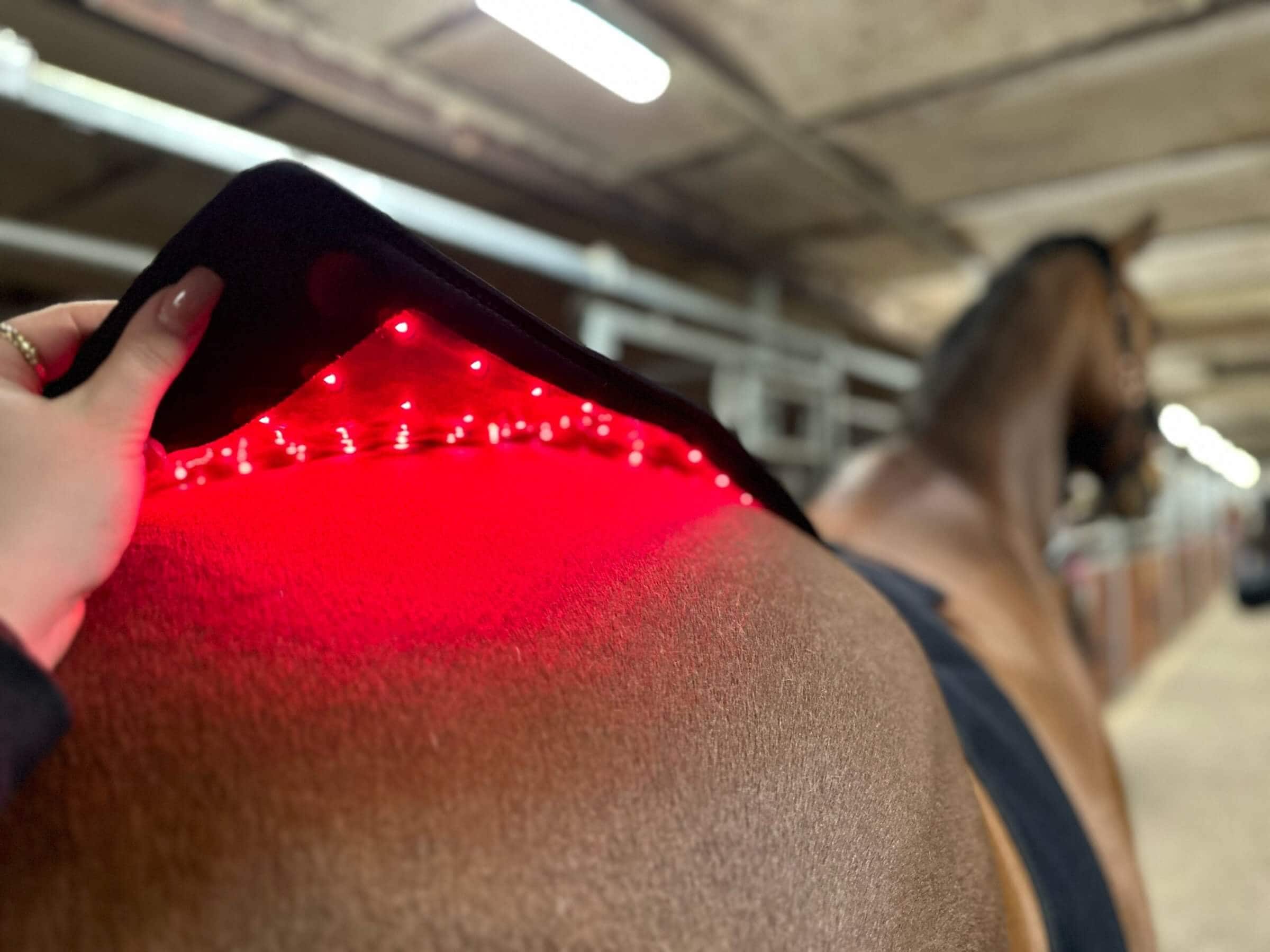 THE JUNGLE OF RED LIGHT THERAPY