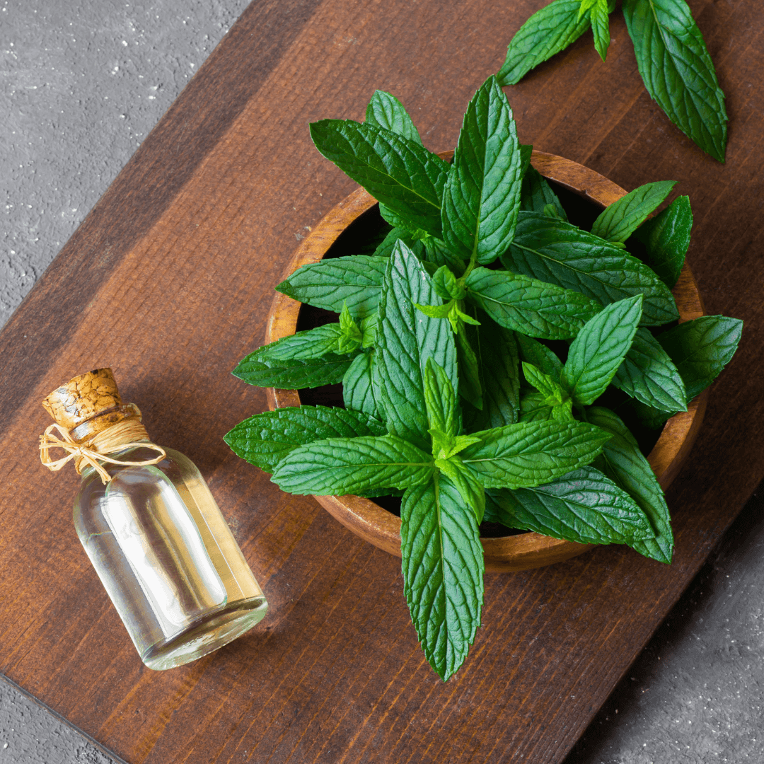 Why Peppermint Infused Shampoo is Your Hair's Best Friend