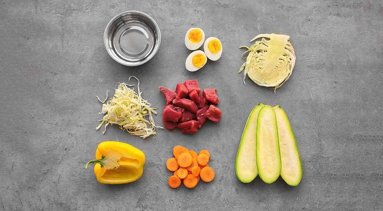 5+ Diet and Nutrition Tips for Dogs