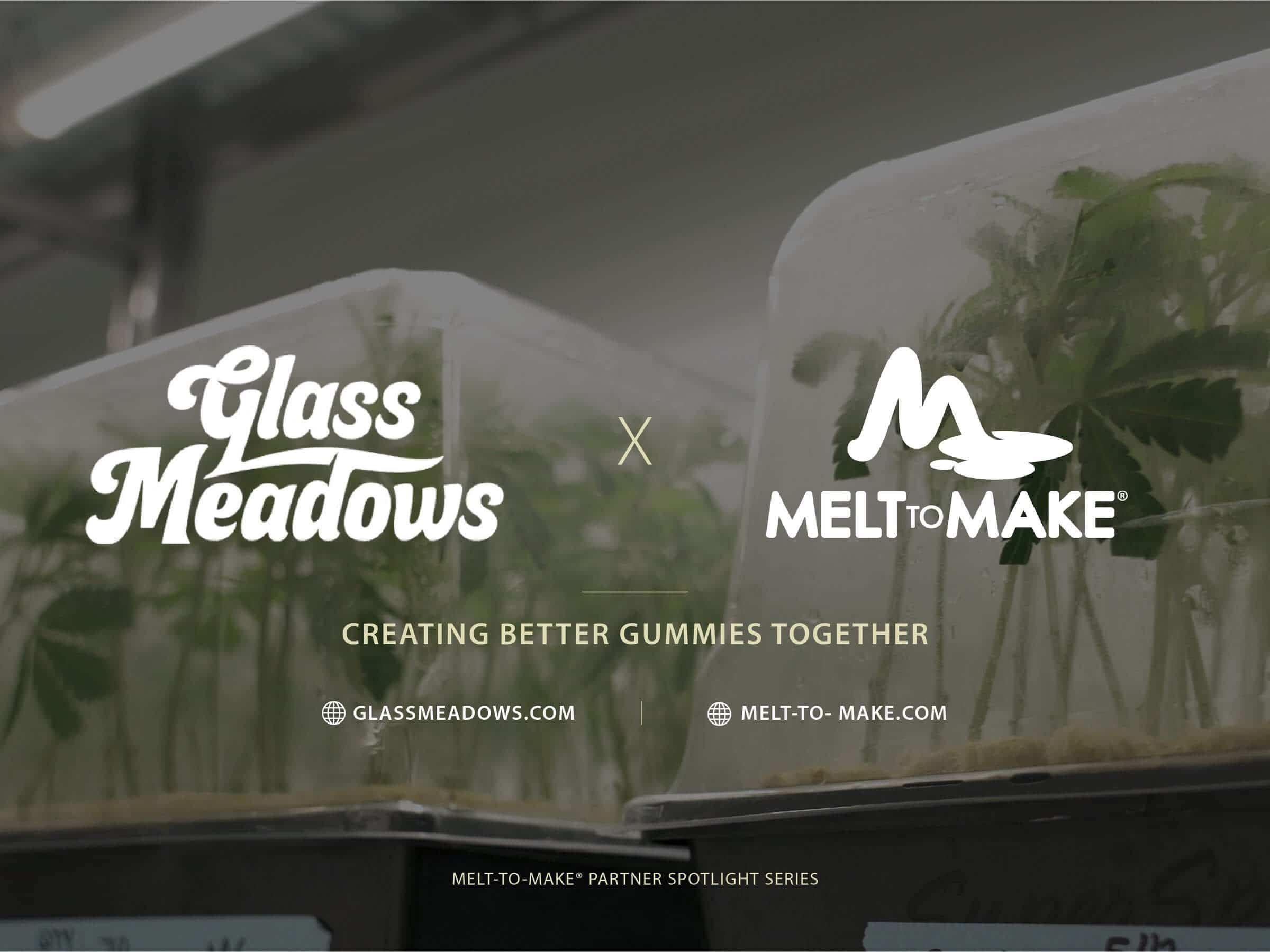 Glass Meadows + Melt-to-Make | Premium Gummies in New Jersey