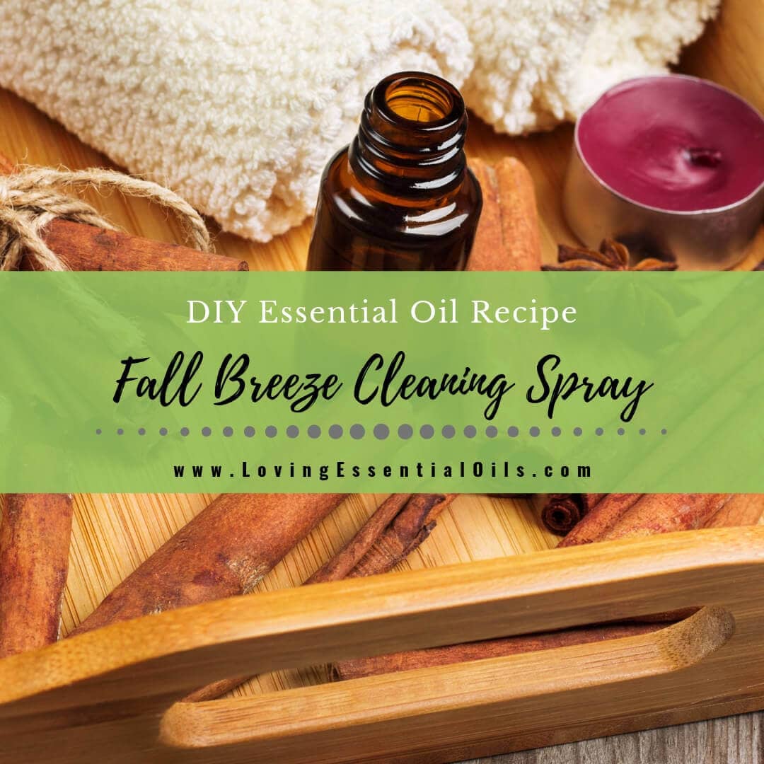 DIY Fall Essential Oil Cleaning Spray Recipe For Your Home