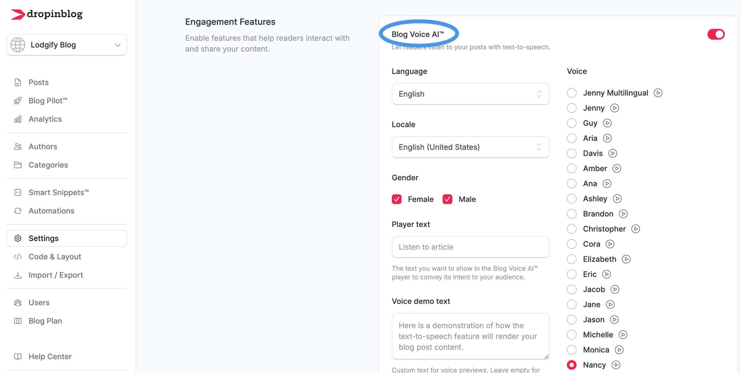 Blog Voice AI™ settings