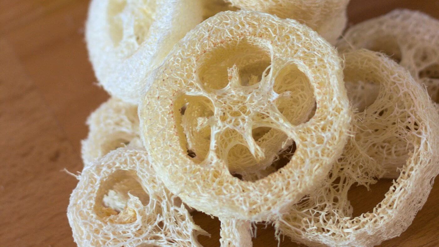Dried Loofah