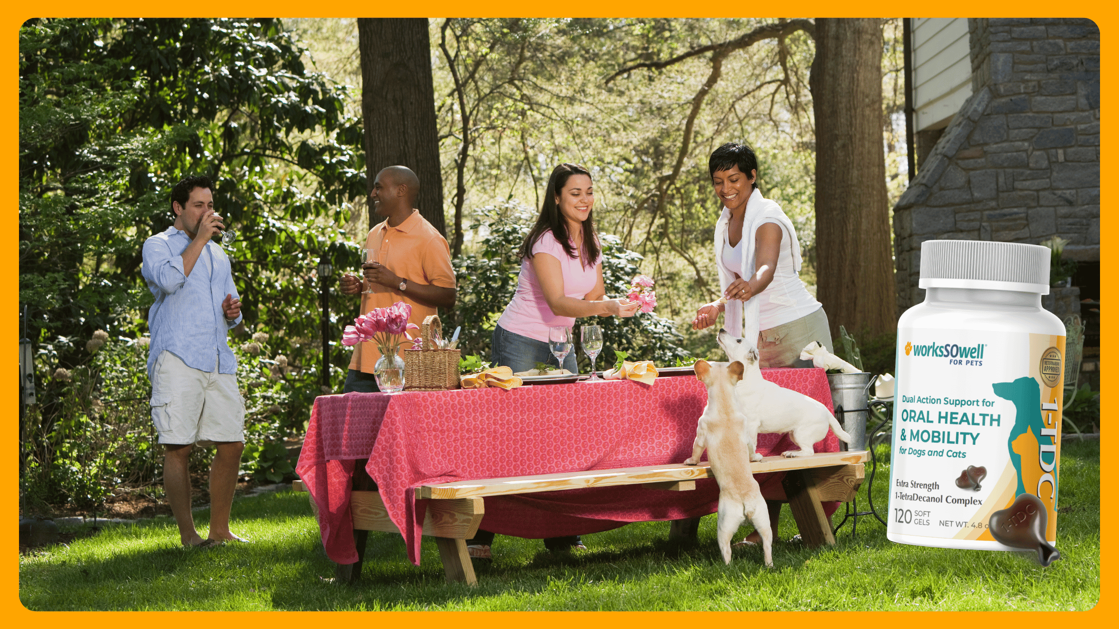 Grilling Season Dangers Most Pet Owners Don't Think About