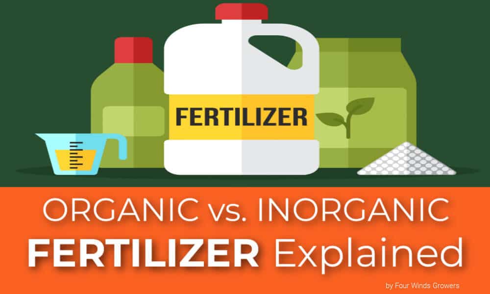 Organic vs Inorganic Fertilizer