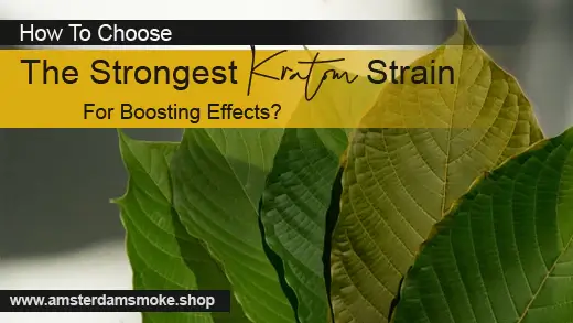 How To Choose The Strongest Kratom For Boosting Effects?