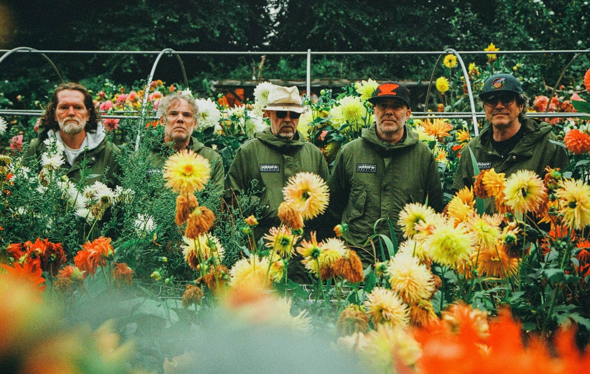 Super Furry Animals live in Cardiff, August 2025