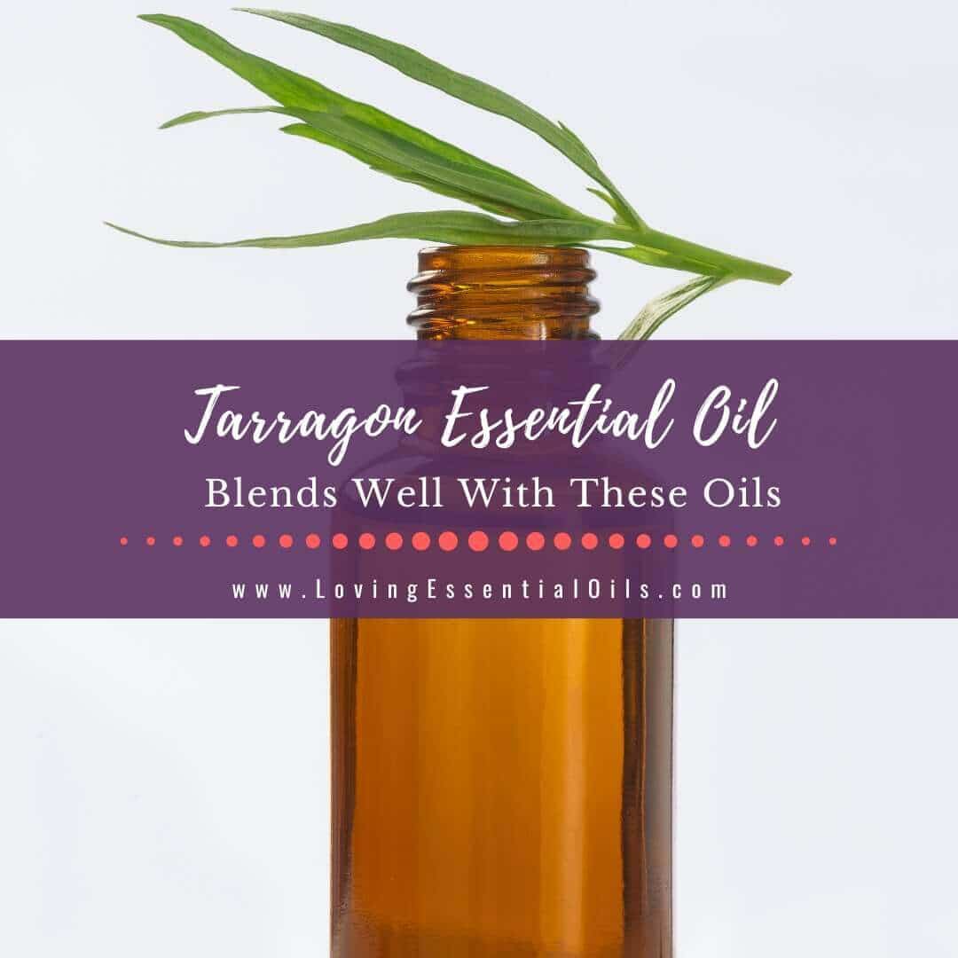 Tarragon Essential Oil Blends Well With and Diffuser Recipes