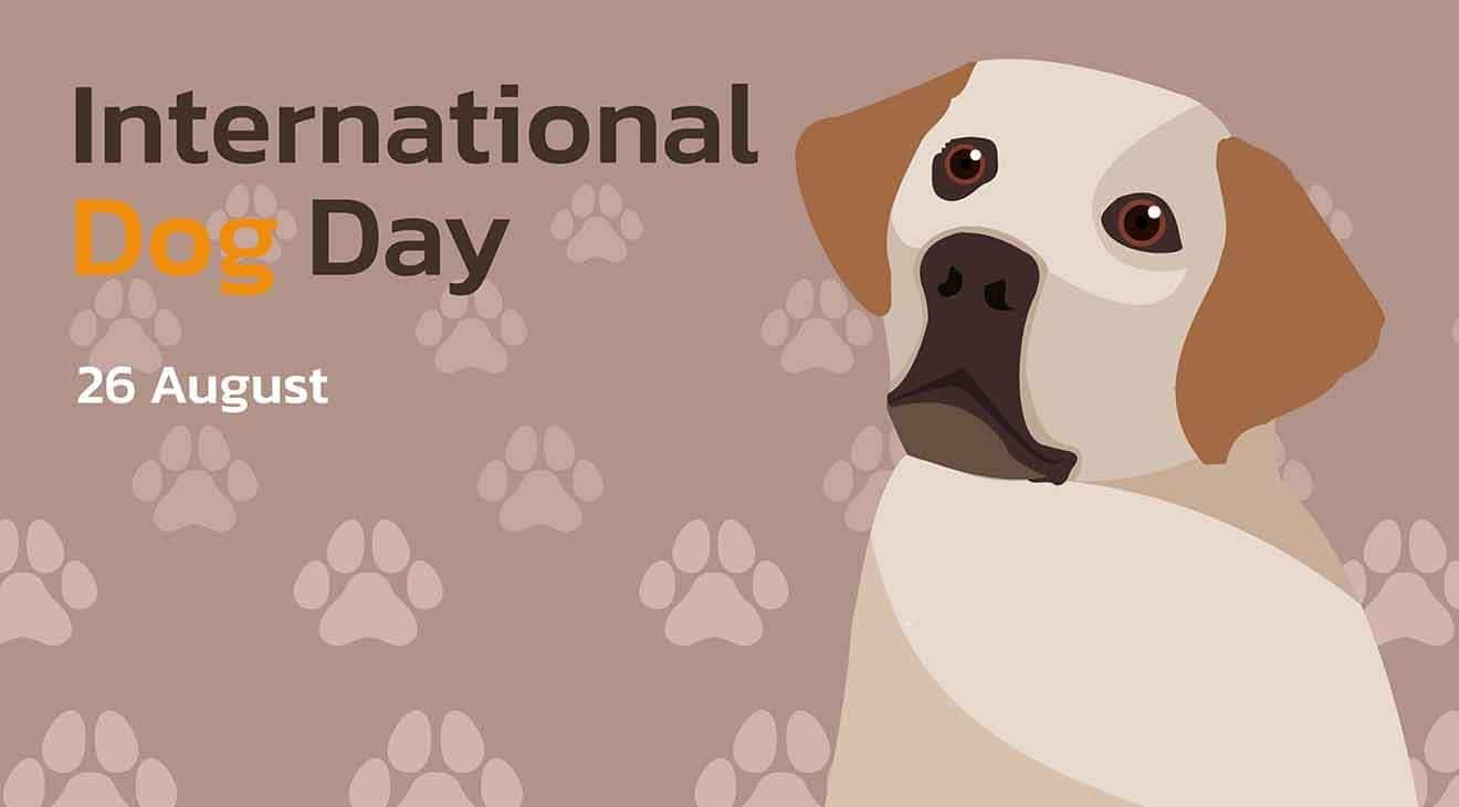 International Dog Day Graphic