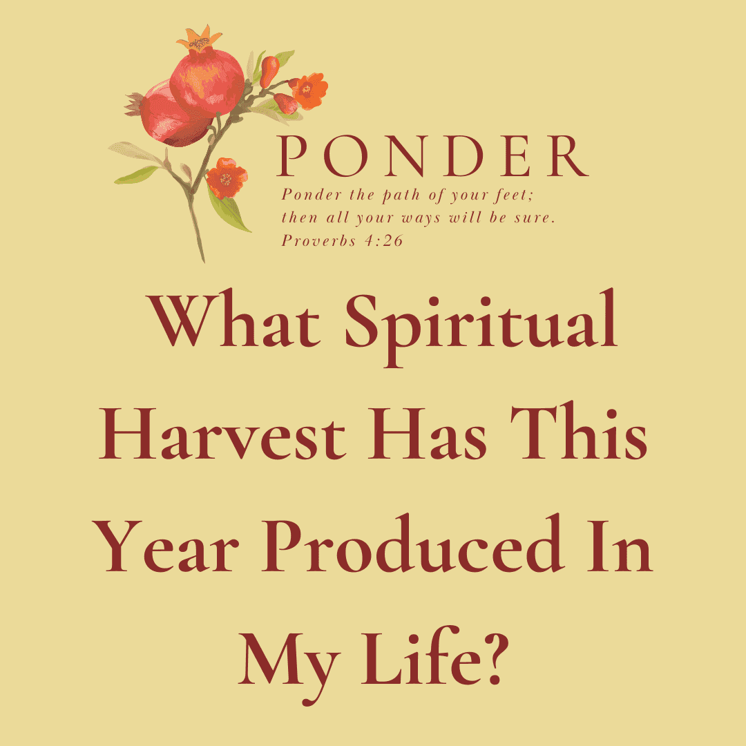 Ponder This: What Spiritual Harvest Has This Year Produced In My Life?