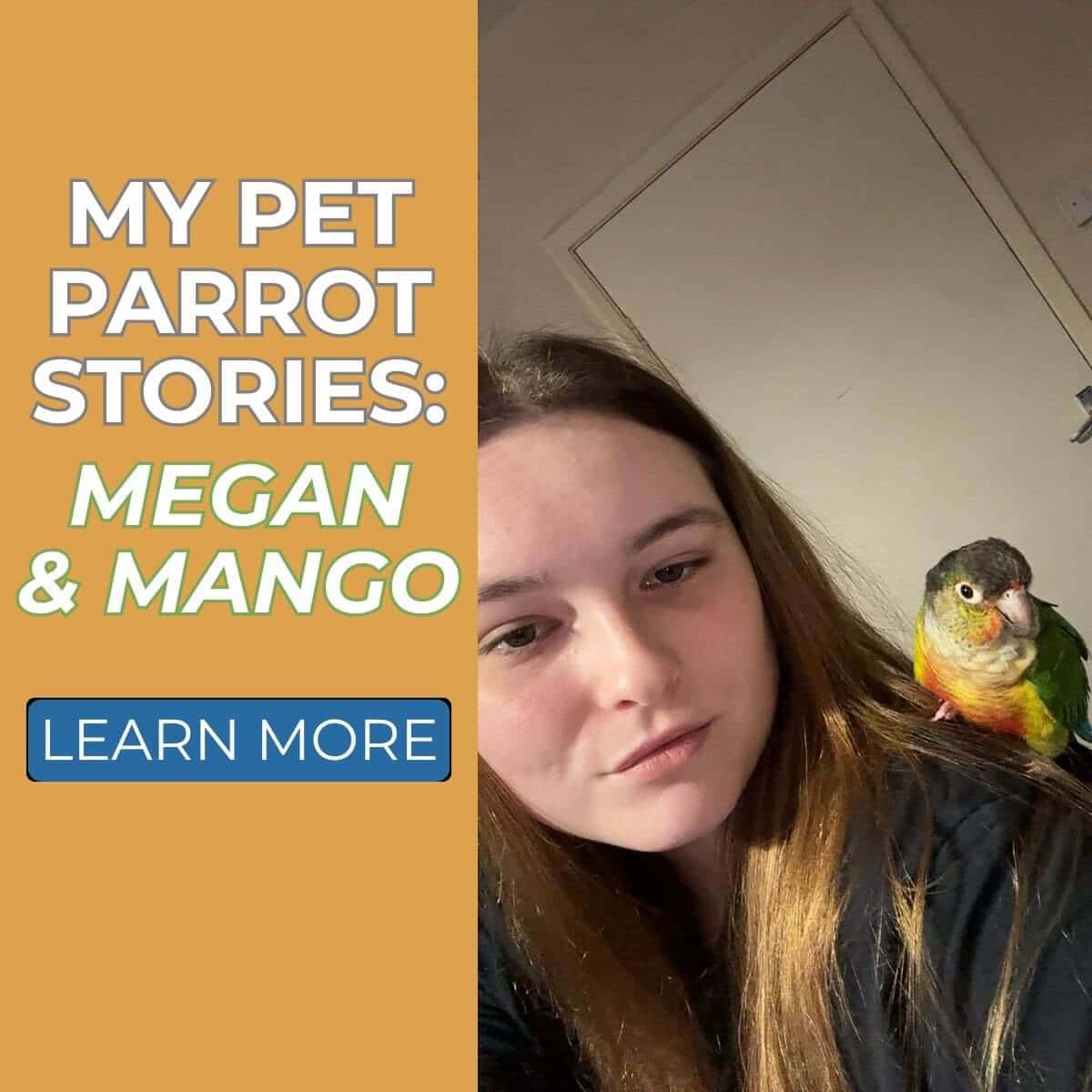 My Pet Parrot Stories: Megan & Mango