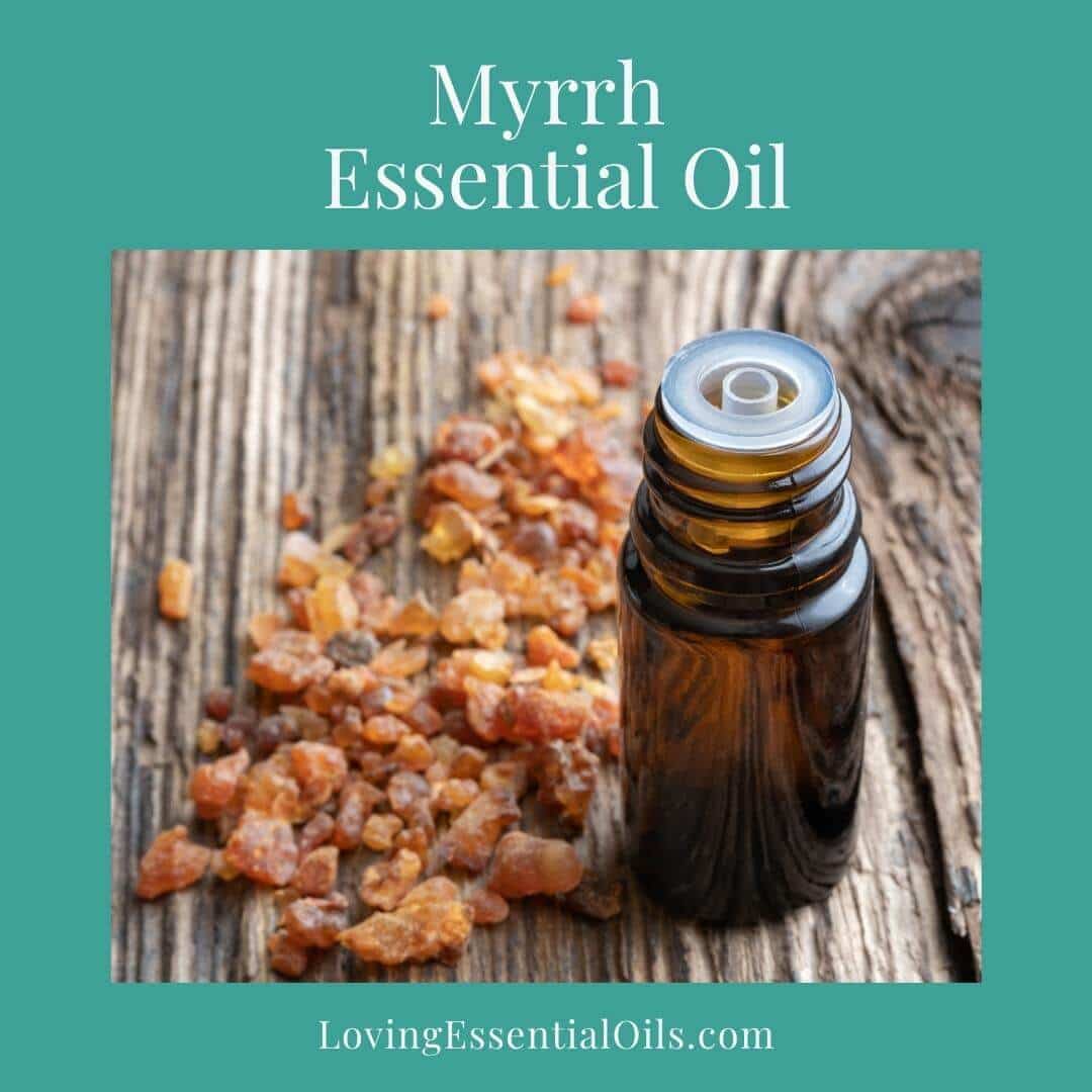 Myrrh essential oil, a resin oil, by Loving Essential Oils