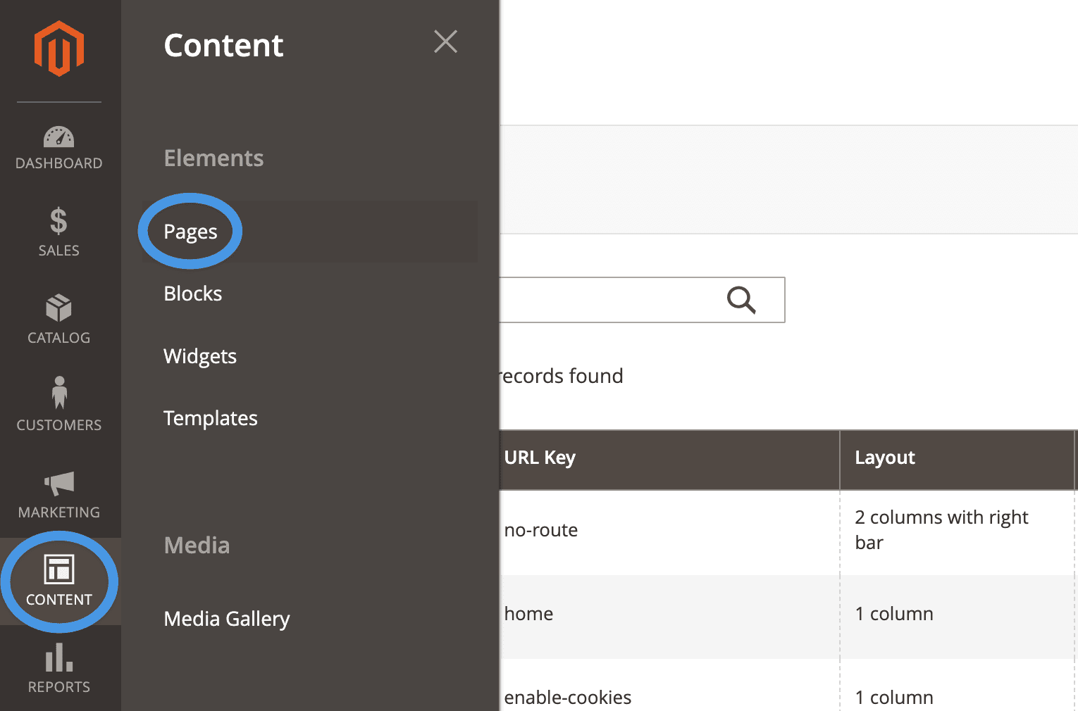 Magento blog install step