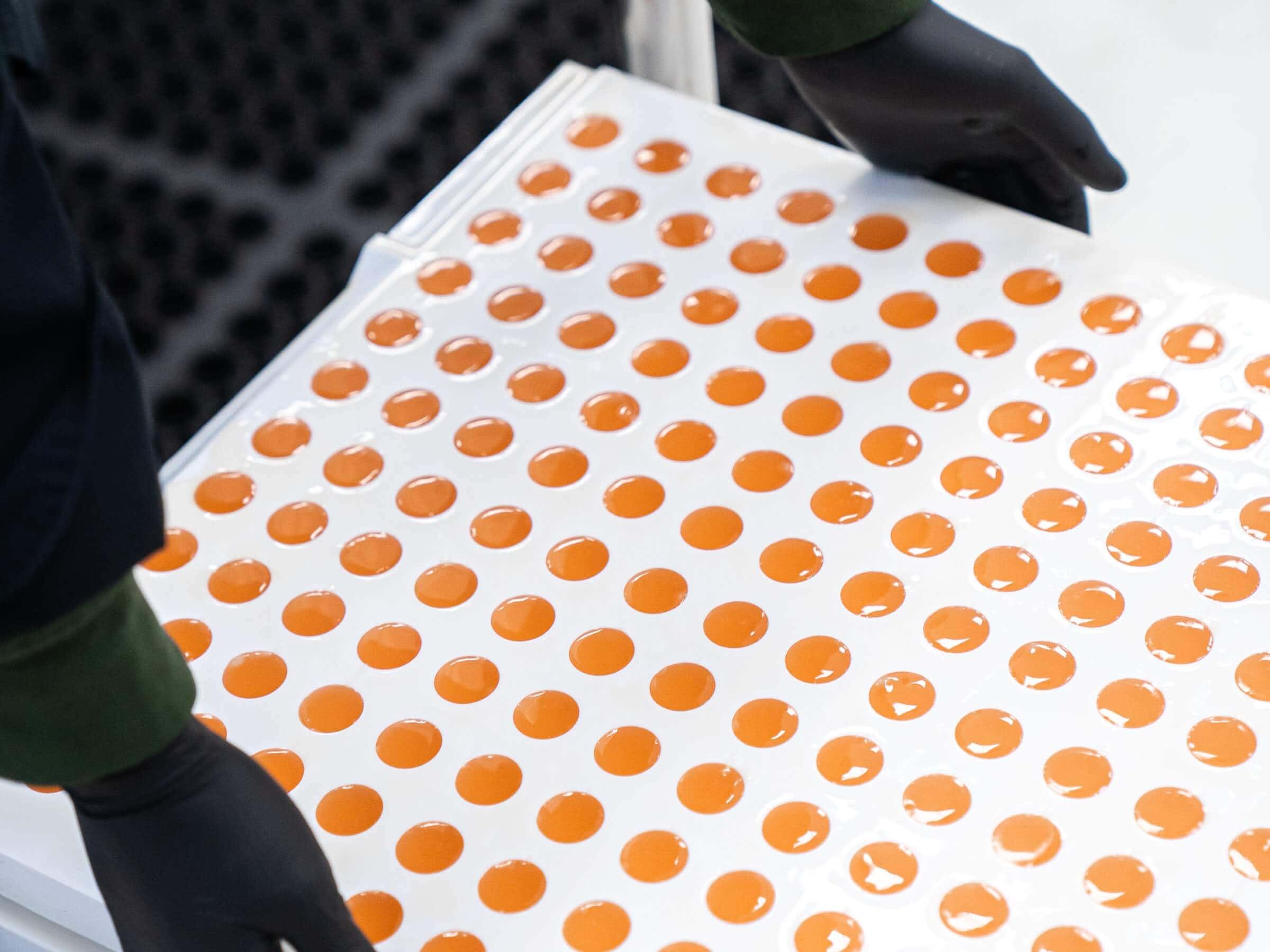 Custom Gummy Formulation and Services with Melt-to-Make™