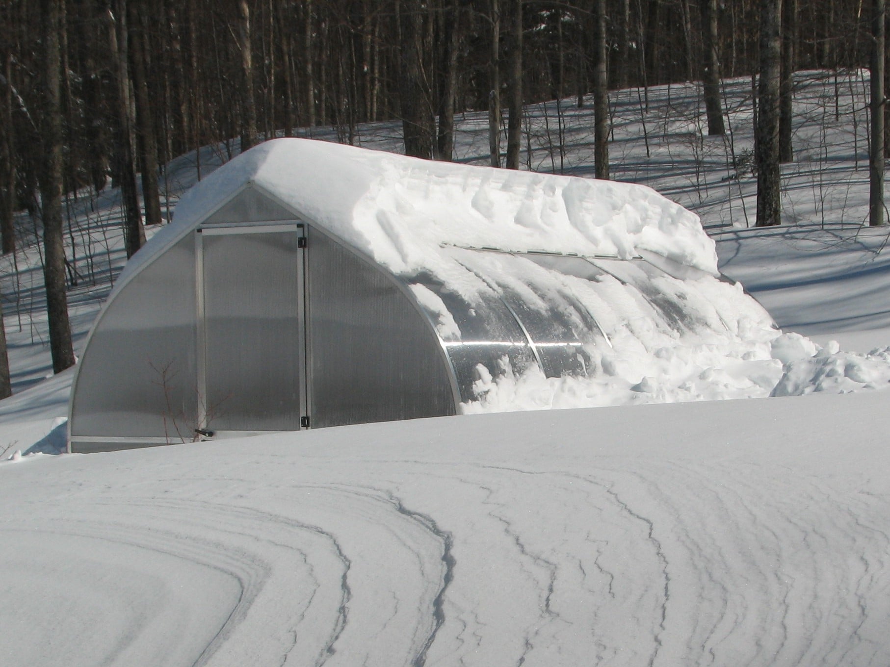 Greenhouses in Denver