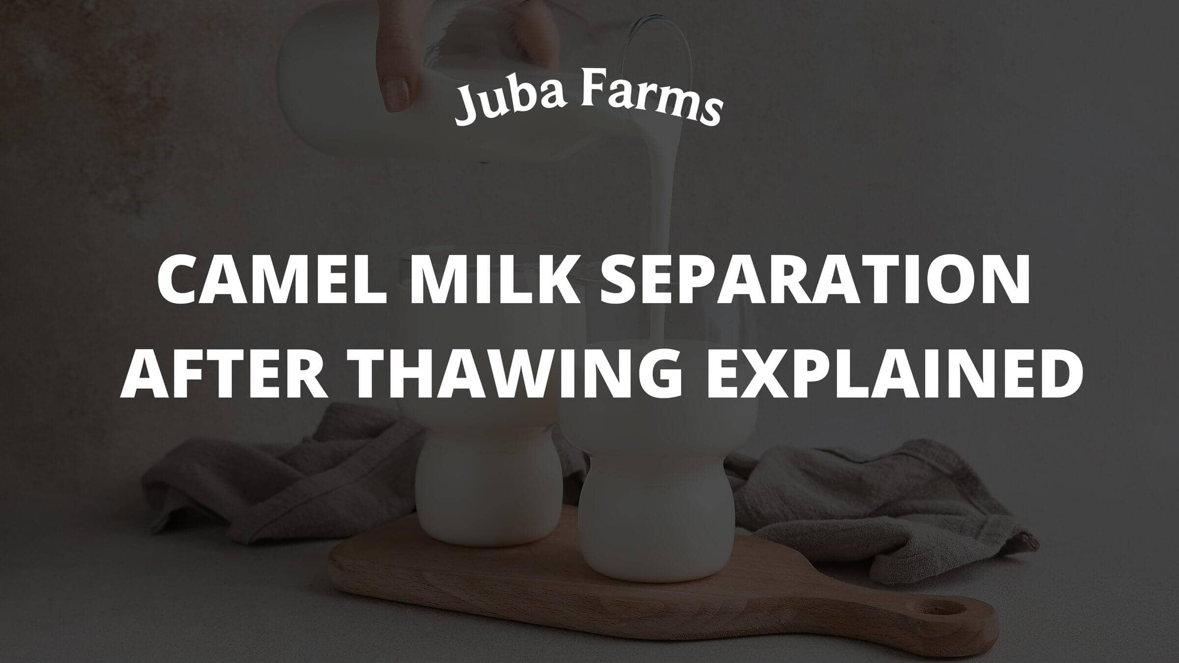 Camel Milk Separation After Thawing Explained